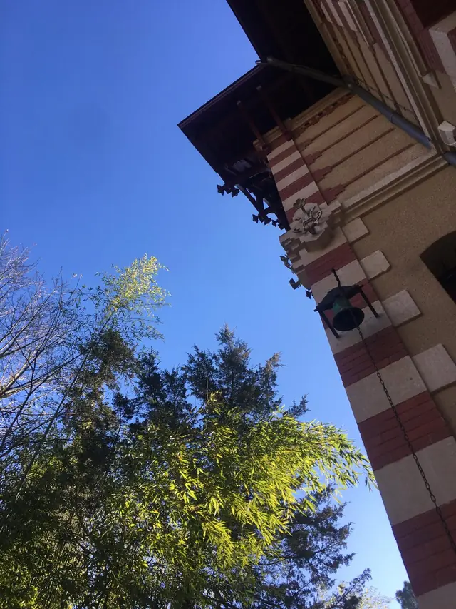 12-12 — image 4