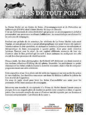 Clichés de tout poil — image 2