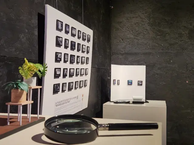 La plus petite exposition photo au monde — image 4