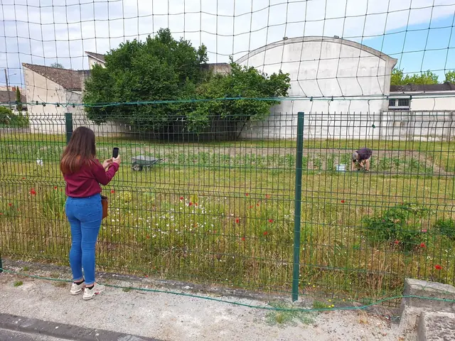 Vadrouilles — in situ — image 6